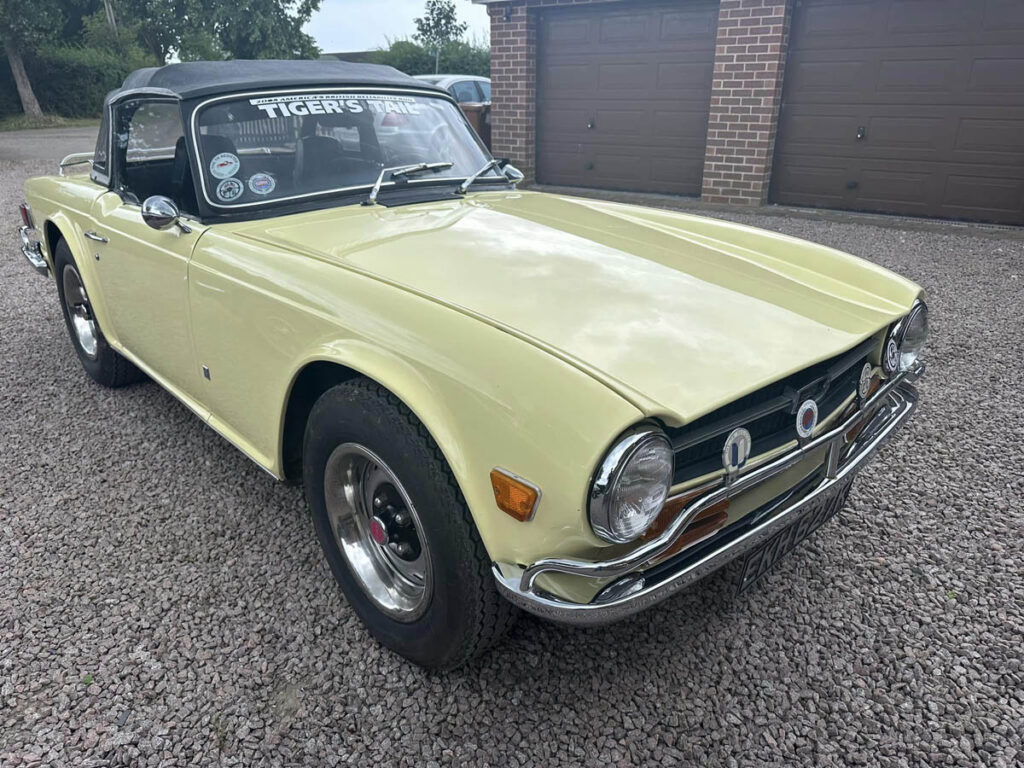 triumph tr6