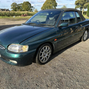 Escort Cabriolet