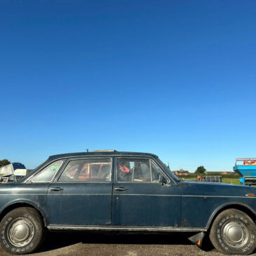 Austin 3 Litre – WAJ135J